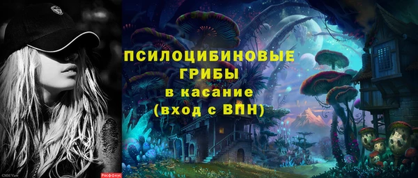 дживик Армянск