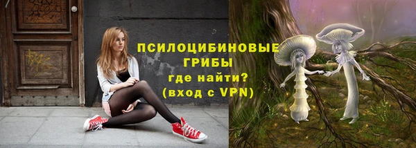 соль ск Аркадак