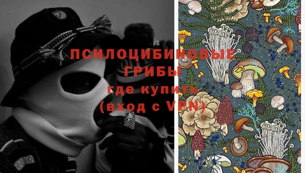 дживик Армянск