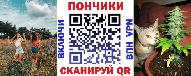 shop состав  Оханск  Конопля план  где можно купить  